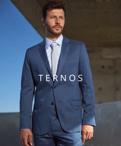 Ternos